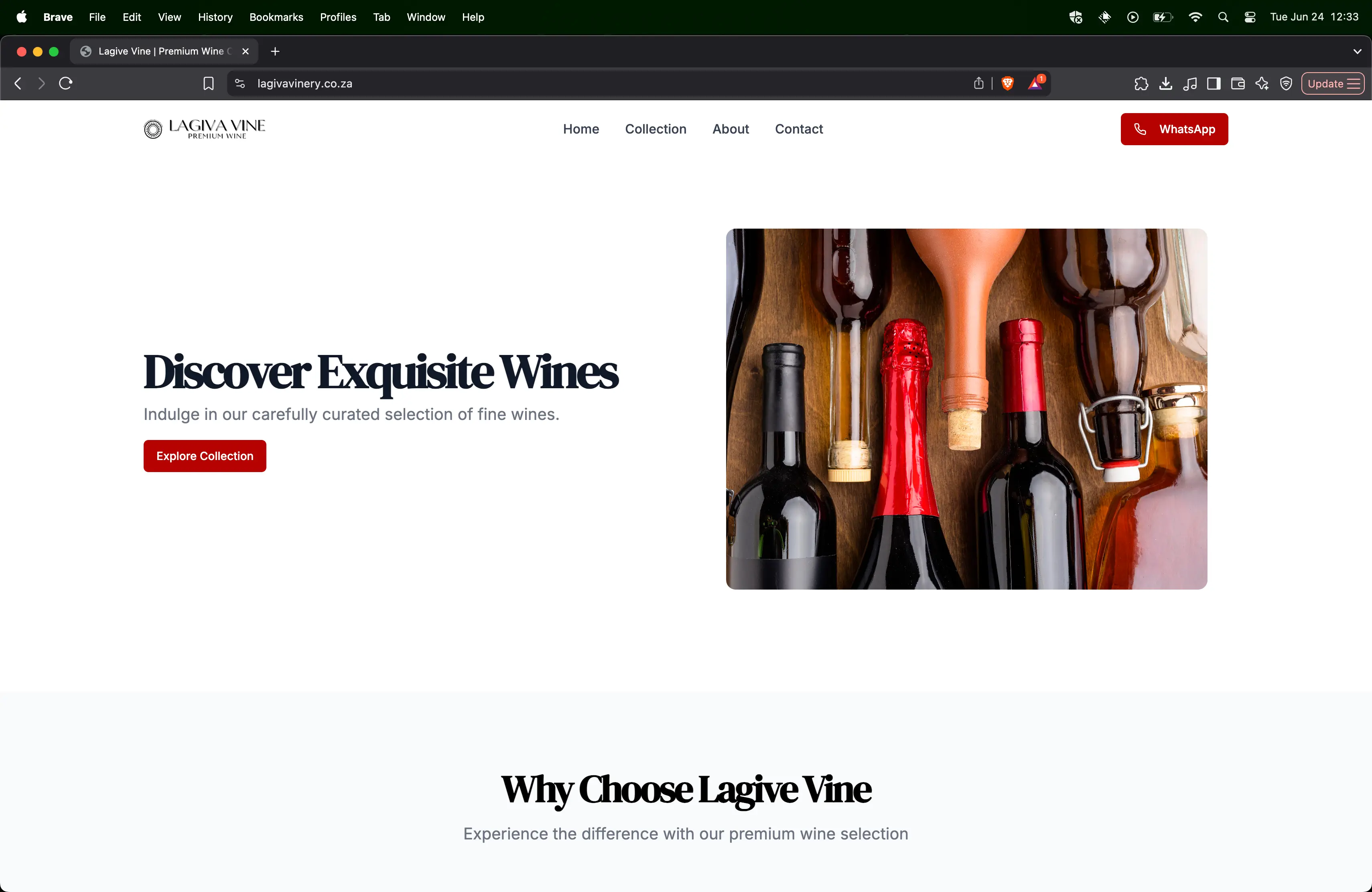 Screenshot of Lagiva Vine project