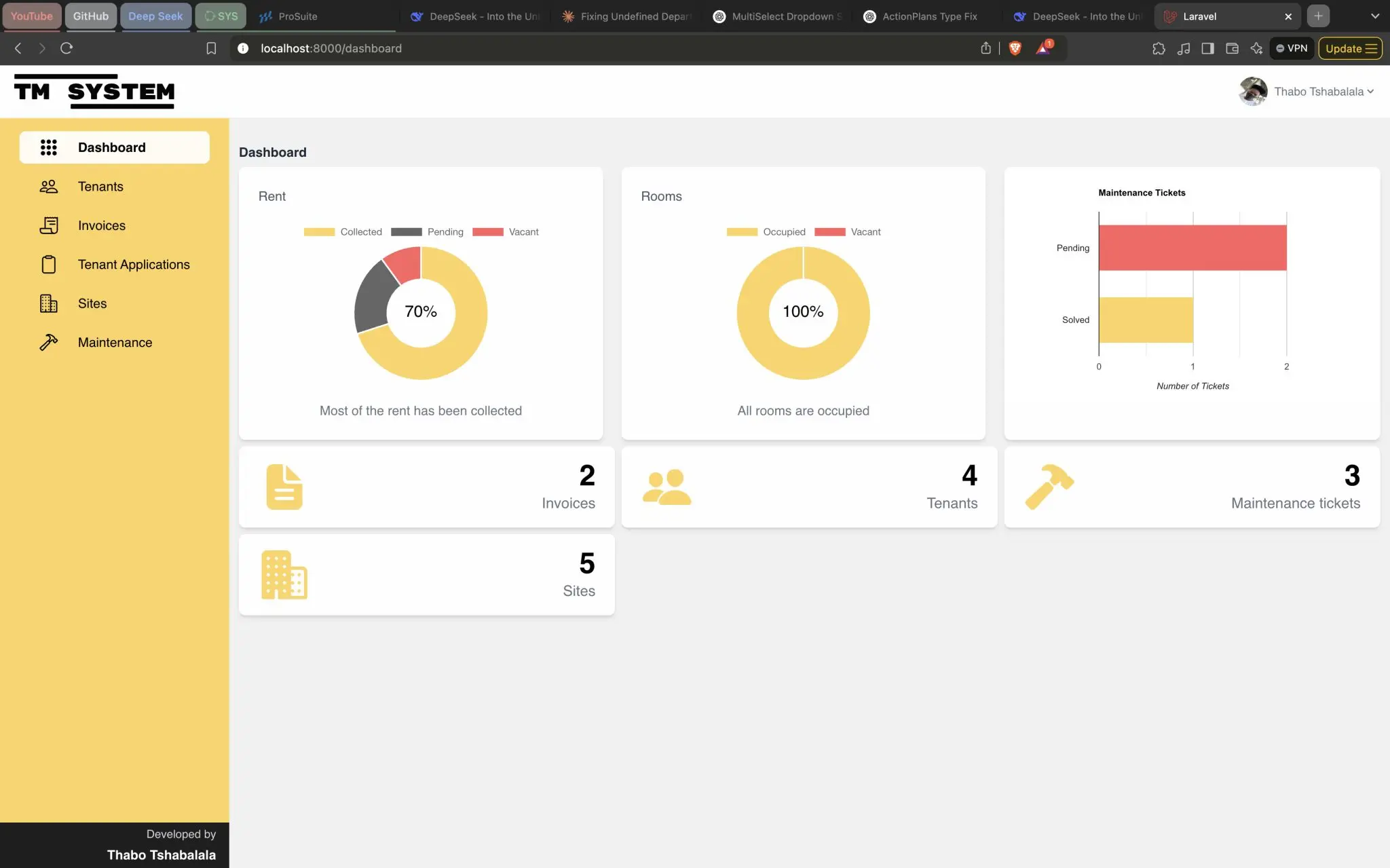 Screenshot of TM System project